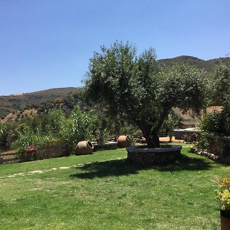Bed and Breakfast Il Giardino Di Daniela San Teodoro  Exteriér fotografie