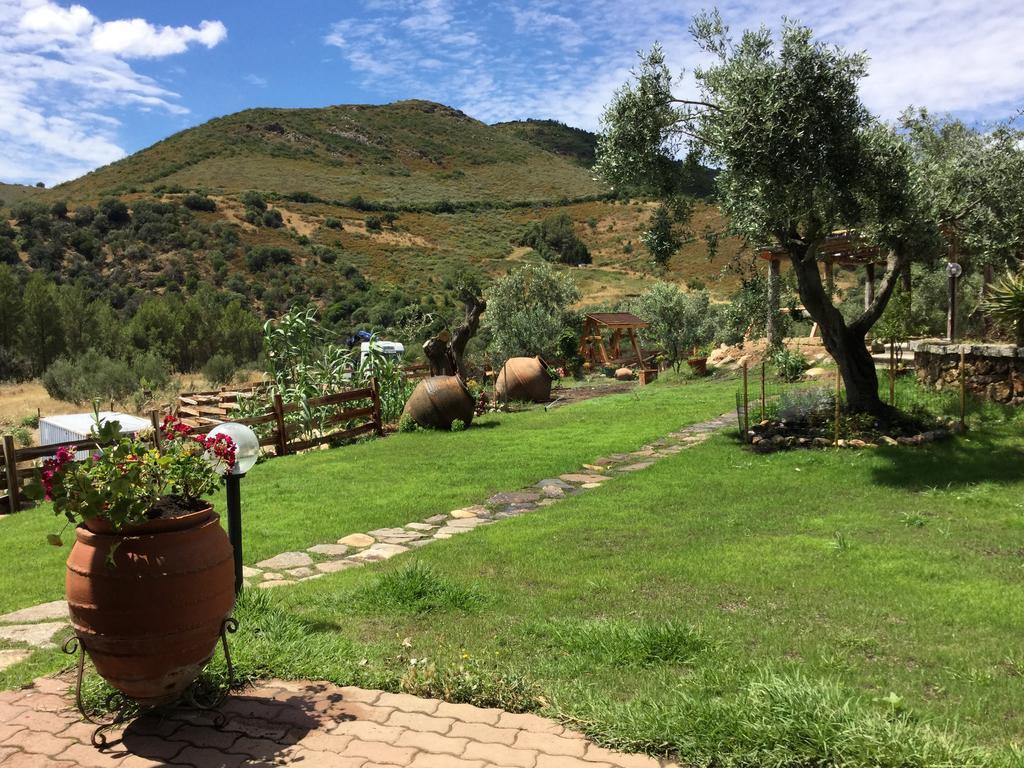 Bed and Breakfast Il Giardino Di Daniela San Teodoro  Exteriér fotografie