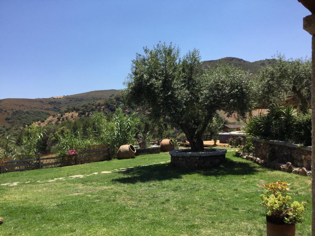Bed and Breakfast Il Giardino Di Daniela San Teodoro  Exteriér fotografie